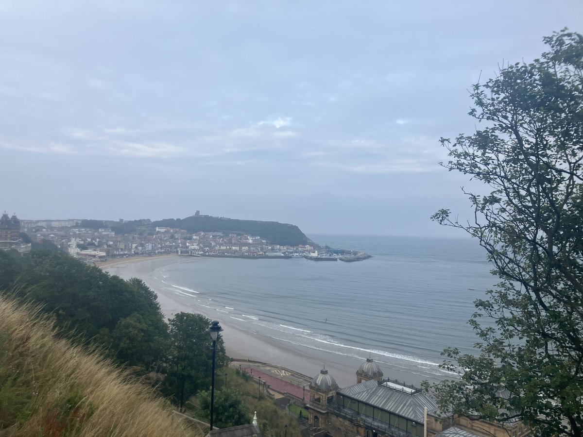 Tess_invests's tweet image. Light fog is back but not a complete white-out