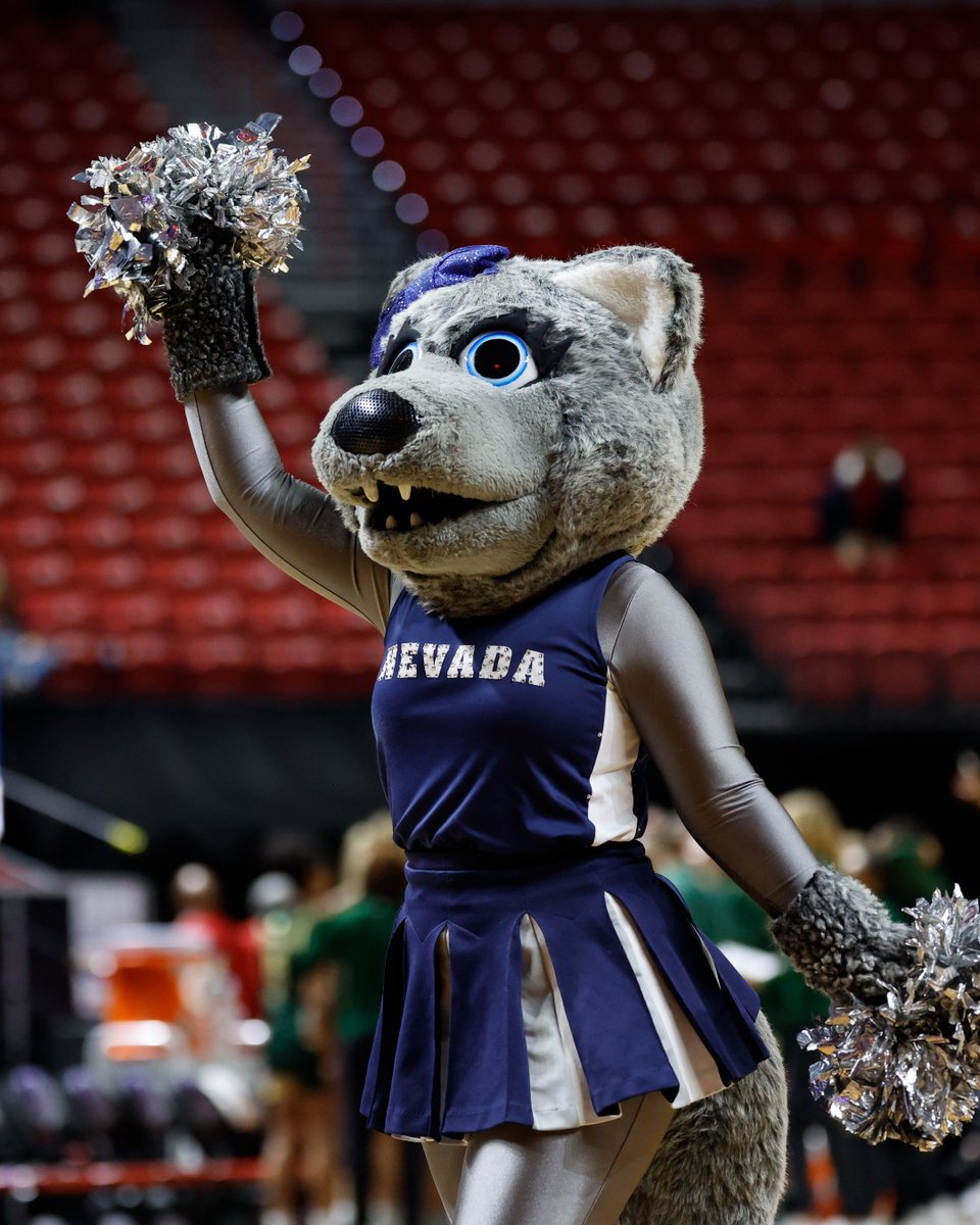 NevadaWolfPack's tweet image. STUDENT ๐ค Athletes
Nevada placed 92 student-athletes on the 2025 Spring Mountain West All-Academic list ๐
๐ bit.ly/4f59eGs
#BattleBorn