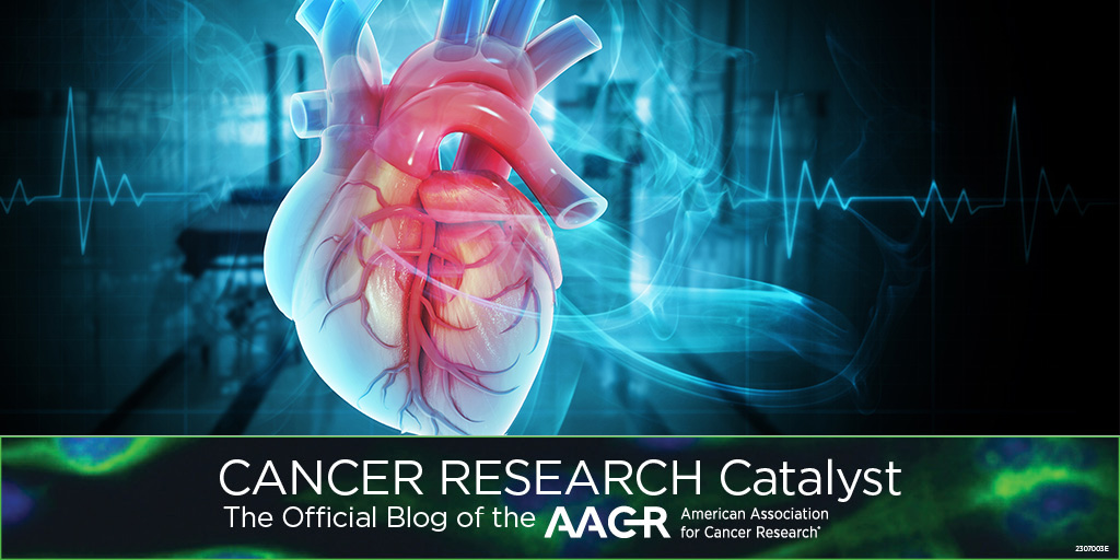 AACR's tweet image. Cardio-oncology experts at #AACR25 sought to better understand how cancer therapies affect the cardiovascular system, so doctors can treat patients without harming their hearts. Learn more on the #AACRBlog: brnw.ch/21wUna4