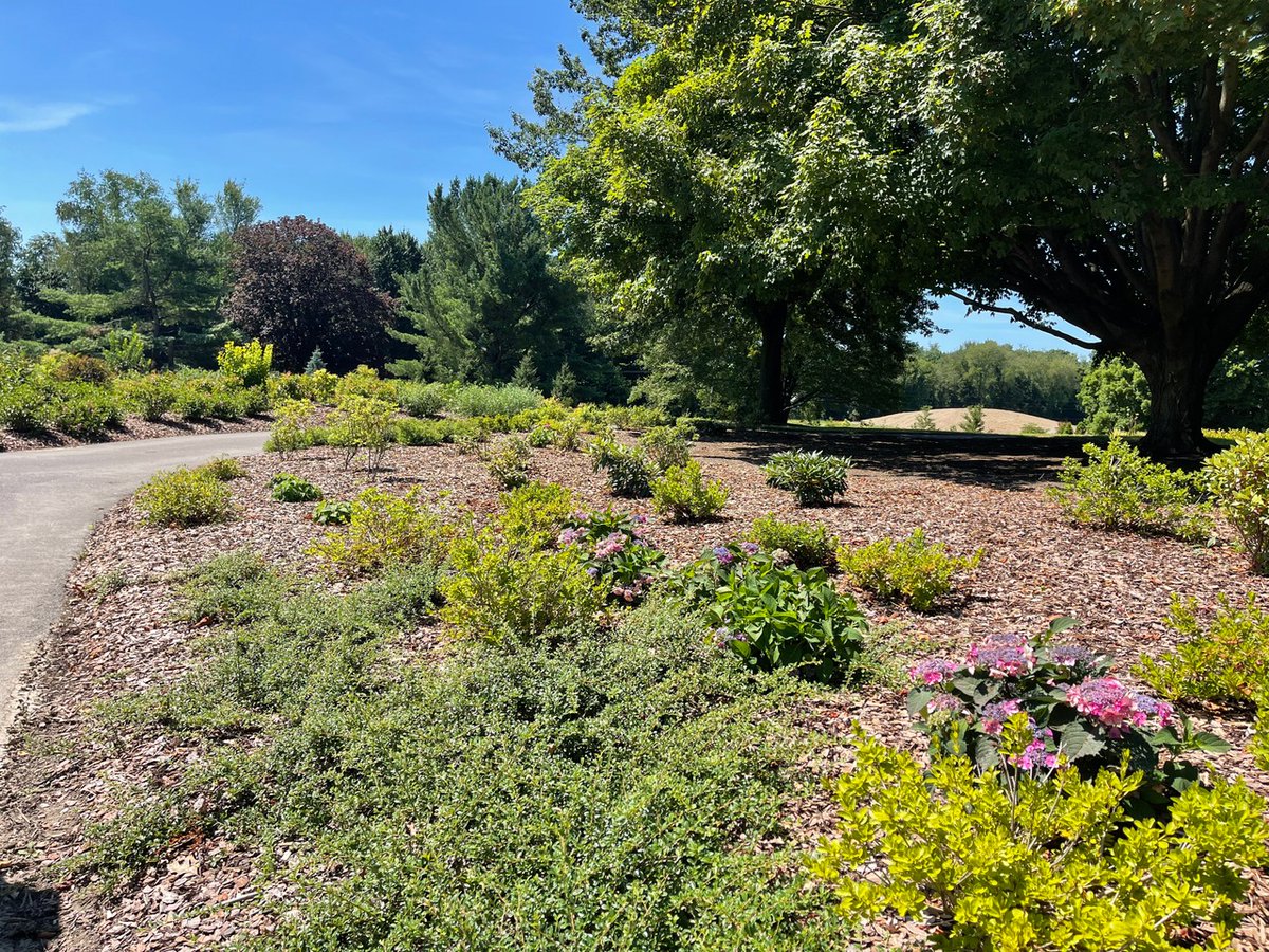 LandscapeMgmt's tweet image. Big thanks to @DaveyTree for the inside look at their SEED Campus in Kent, Ohio! 🌳 Today we got to check out the indoor climbing center, research labs and the beautiful arboretum.
A big inspiration for the landscaping world! 🌲
#SEEDCampus #Landscaping #DaveyTree…