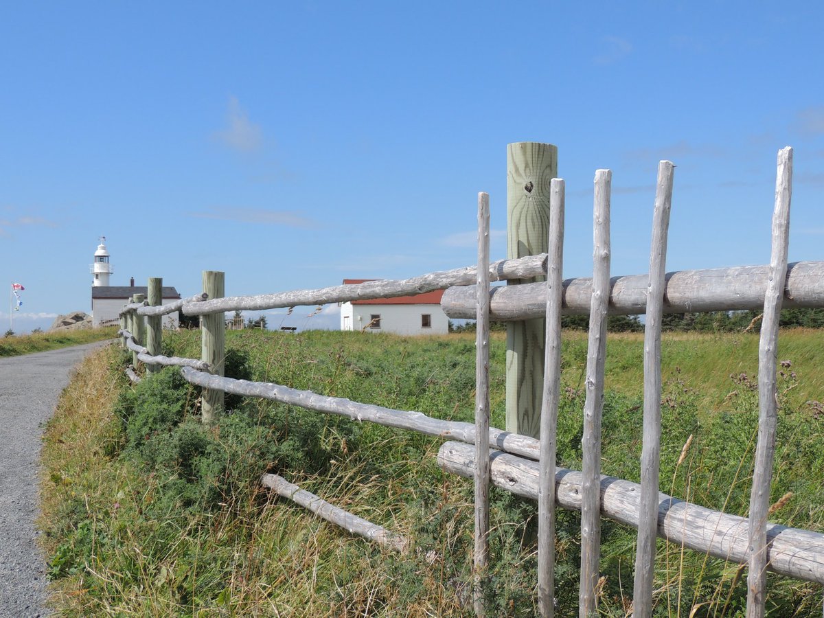 stan_sdcollins's tweet image. Just a fence study. A wise man once said to never remove a fence until you find out why it was put there in the first place.