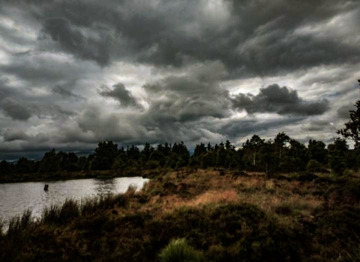 B_Brown77's tweet image. All the things she never said
tender words witheld
& love fell
over the edge of the world
a heart burdened
with regret
cannot mend
when it's too late
to make amends
heaving clouds burst
weeping torrents
onto far away hills
where he pines
blind to the #tears she cries
#vss365
