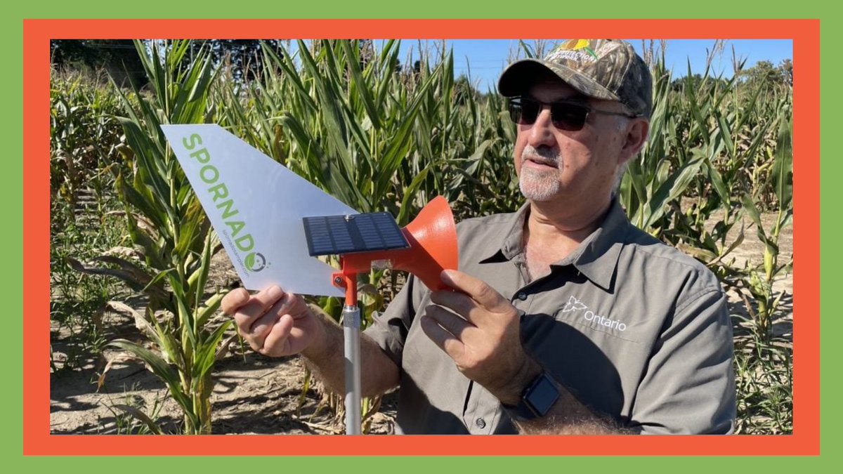 spornadosampler's tweet image. Tar spot confirmed in Ontario for 2025. Check out RealAgriculture’s Facebook. Spornado traps caught it in the air before symptoms appeared giving farmers a critical head start.
🔗: realagriculture.com/2025/07/tar-sp…
FB: facebook.com/share/p/1Augsd…