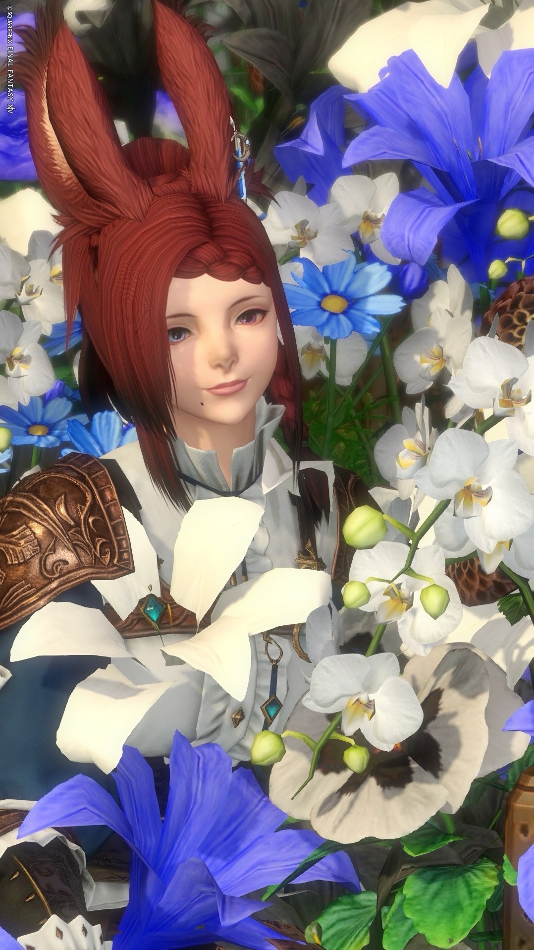 Aya@Masamume🐿 (@ayabell_ff14) / X