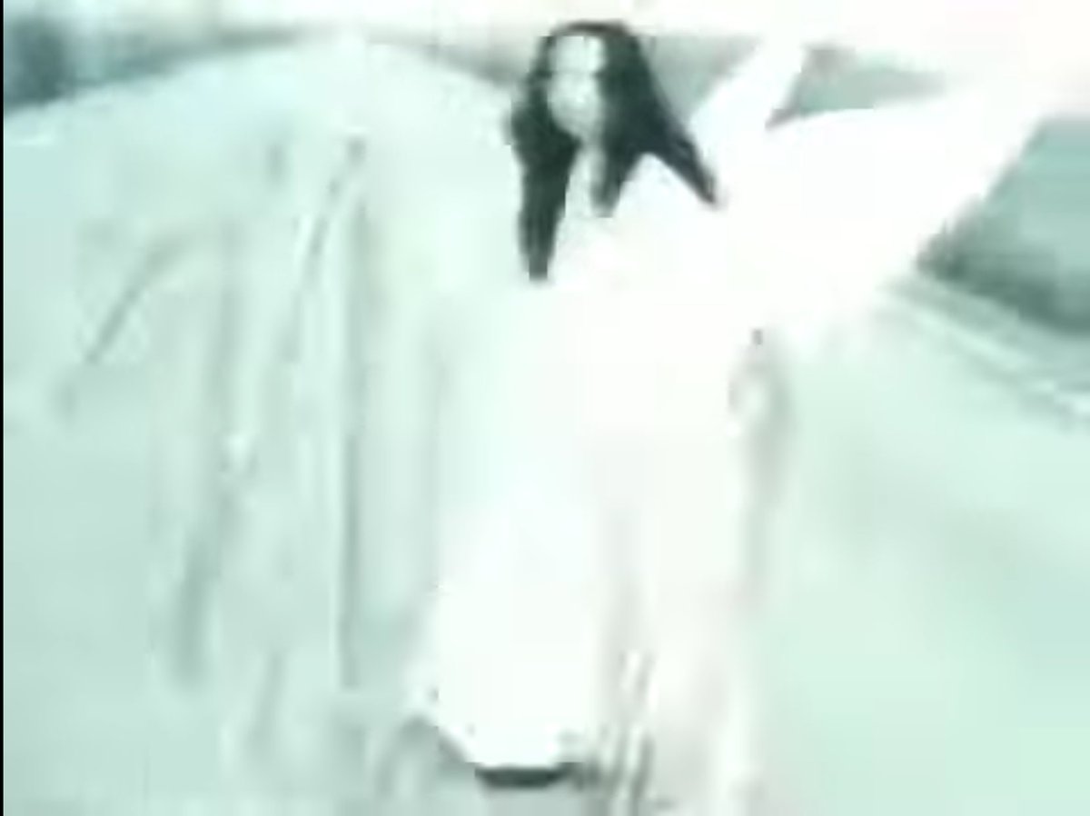 jinafile's tweet image. the god crippled with one leg (1994) dir. jun kurosawa