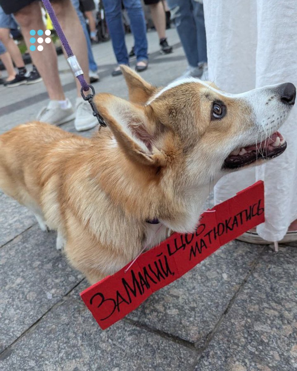 HromadskeRadio's tweet image. ⚡️ У Львові другий день поспіль вийшли на масштабну акцію проти закону №12414 щодо НАБУ та САП, що фактично обмежує незалежність антикорупційних органів.
📸: Громадське радіо