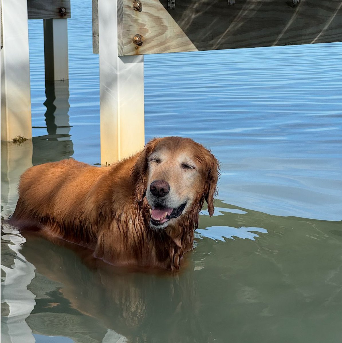 Look at this sweet, wet nice nice man!
