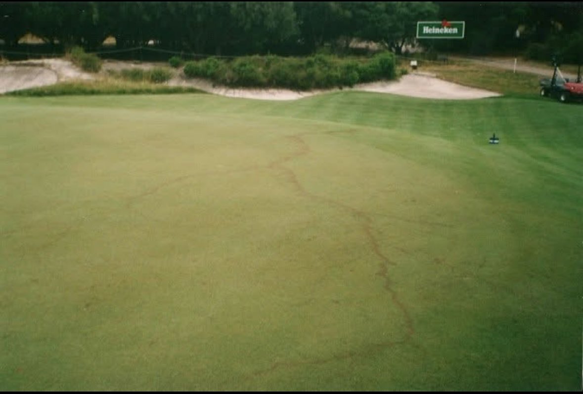 Martin Smith tweet media