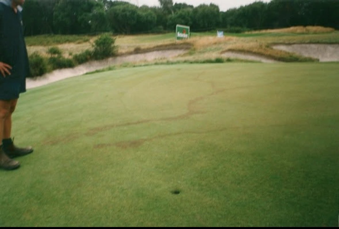 Martin Smith tweet media