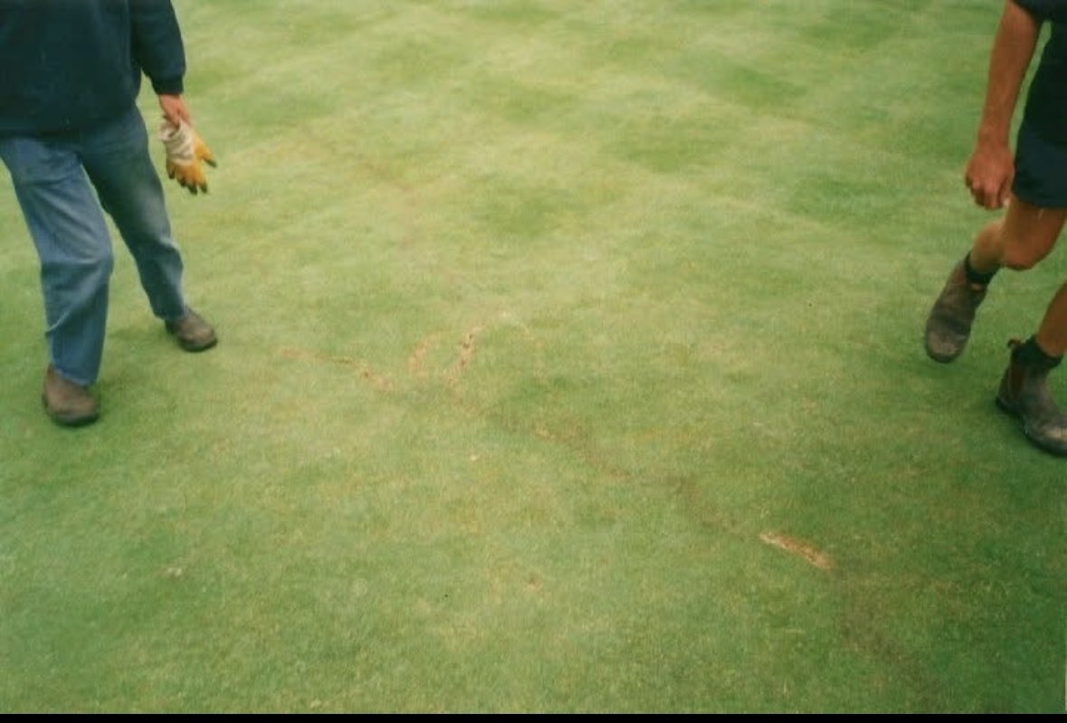 Martin Smith tweet media