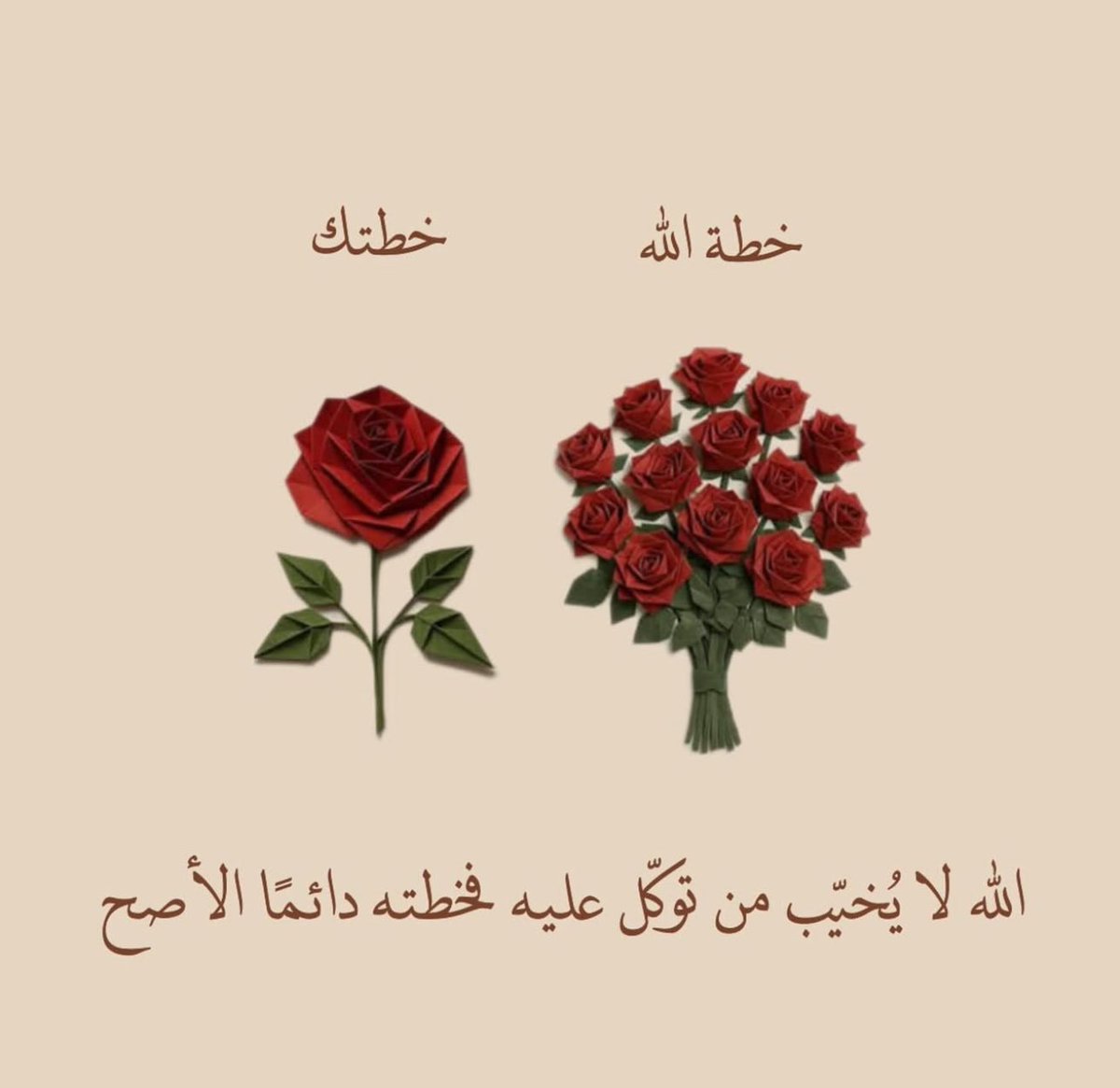 ml17ll's tweet image. 