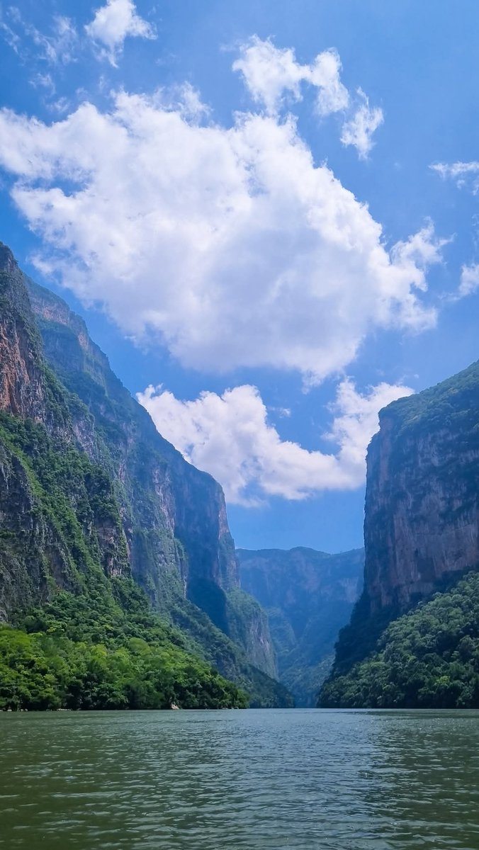 Lugar: Cañón del Sumidero, Chiapas.
Fecha: 23 de julio de 2025.
Créditos: Marte G. Ferrer.
