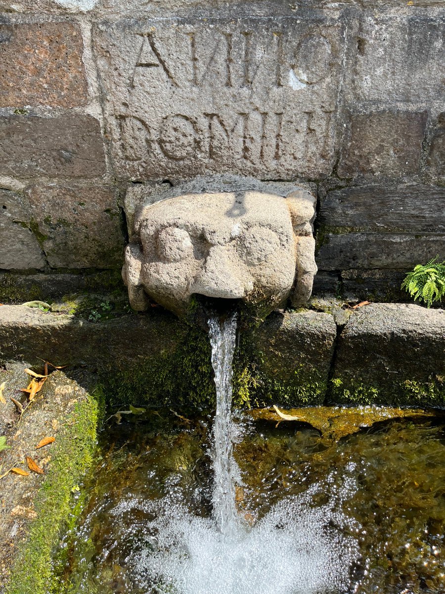 Gargoyle at St Guron's Holy Well, Bodmin. One of a pair of gargoyles that have lived here since 1545. They are good friends of mine.