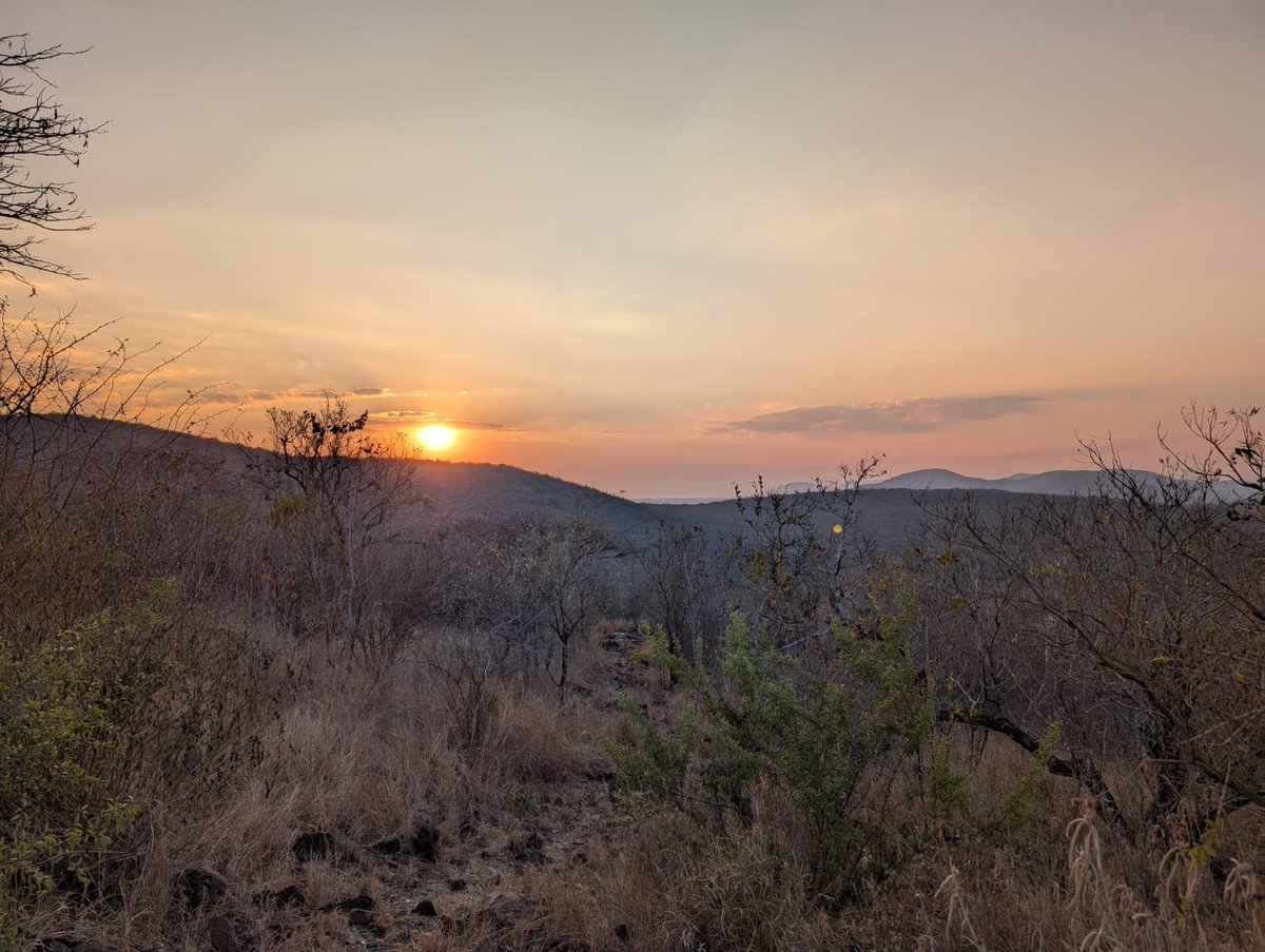 RGSHW Co-Curricular Education tweet media