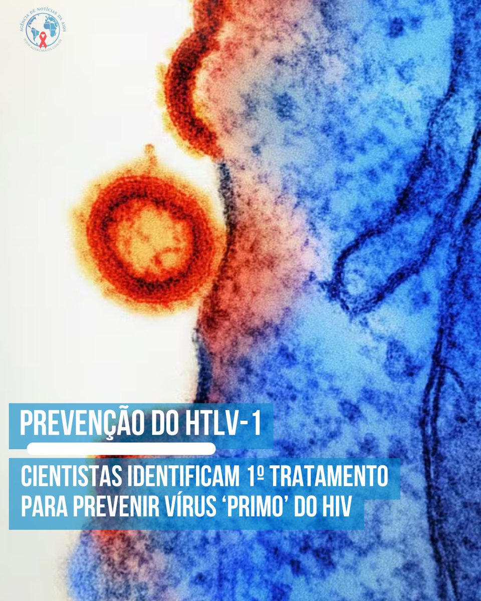 agenciaaids's tweet image. HTLV-1: Cientistas identificam 1º tratamento para prevenir vírus ‘primo’ do HIV. encr.pw/qkMaZ