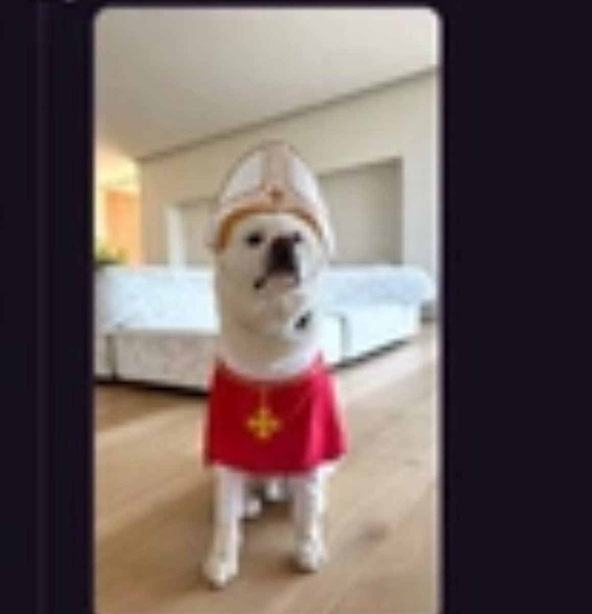 vlagudfsfjr's tweet image. Brian coin Sending
Only coin by his wife (their dog )@base
0xE5d23Ad9f1ad17D752dfC32e1B26F18B318EC98F