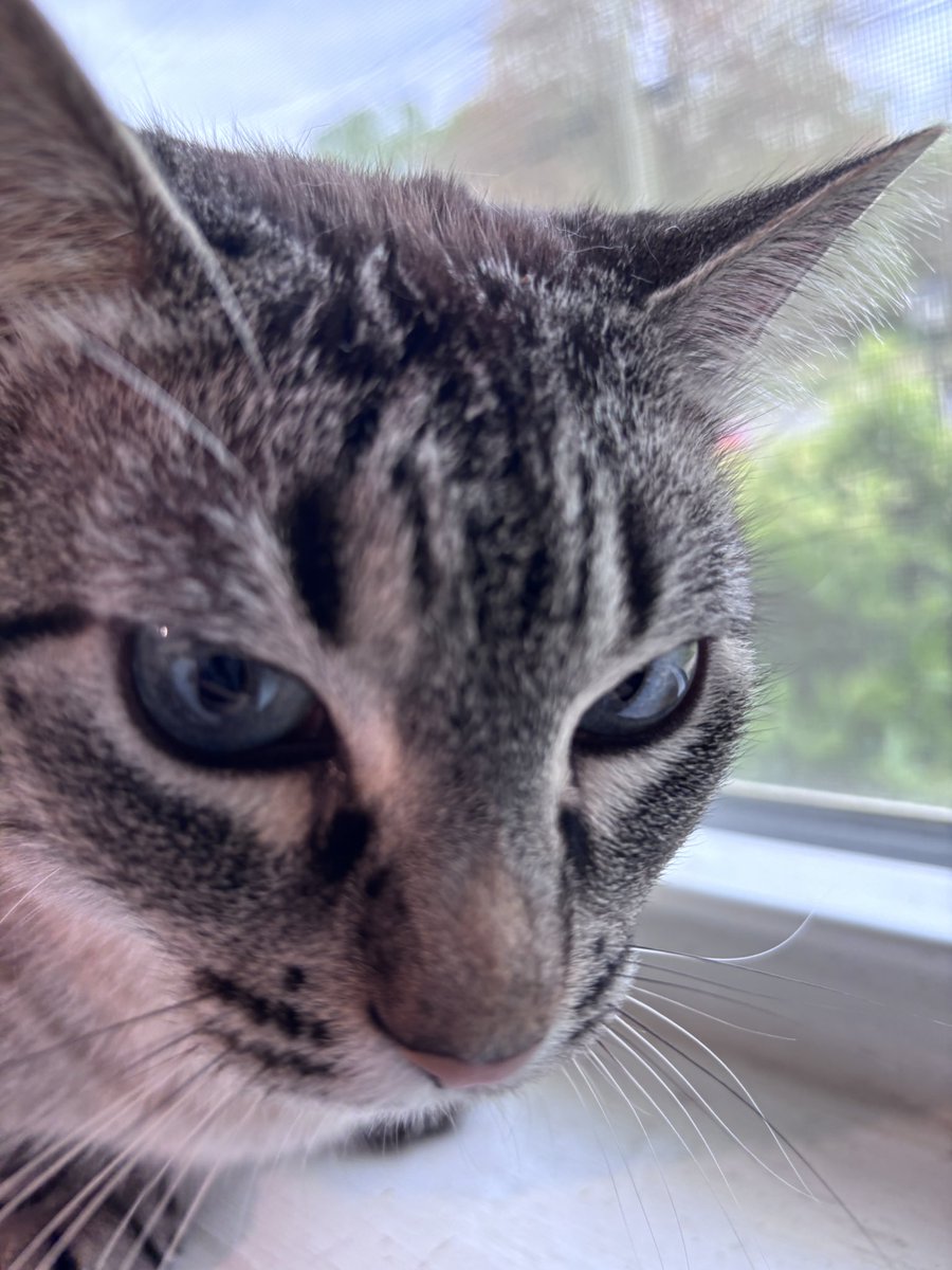 Smiley_Boy 🇲🇽 tweet media