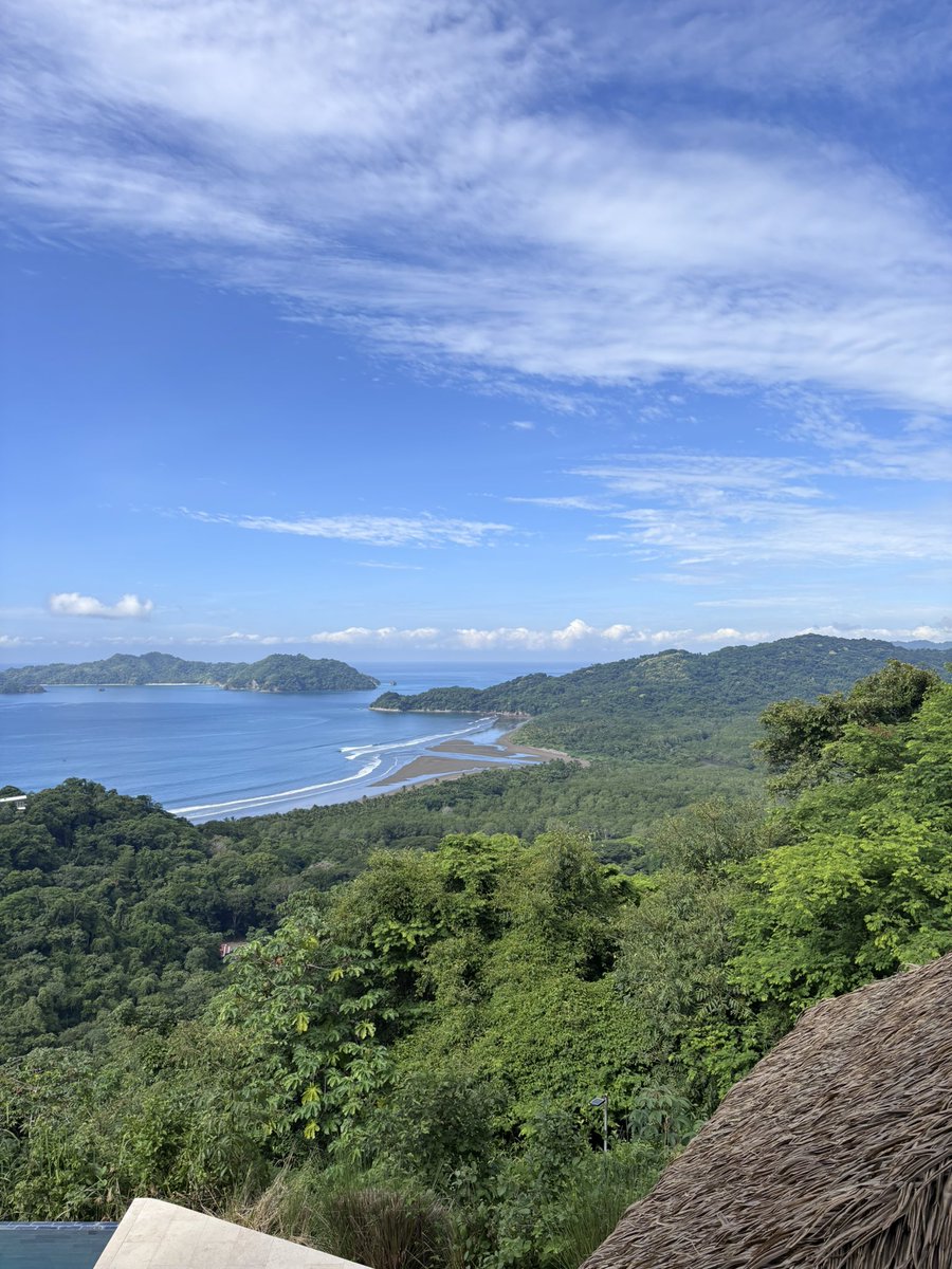 dunks077's tweet image. In Costa Rica.  Still think it looks good, and recommend you $sendit