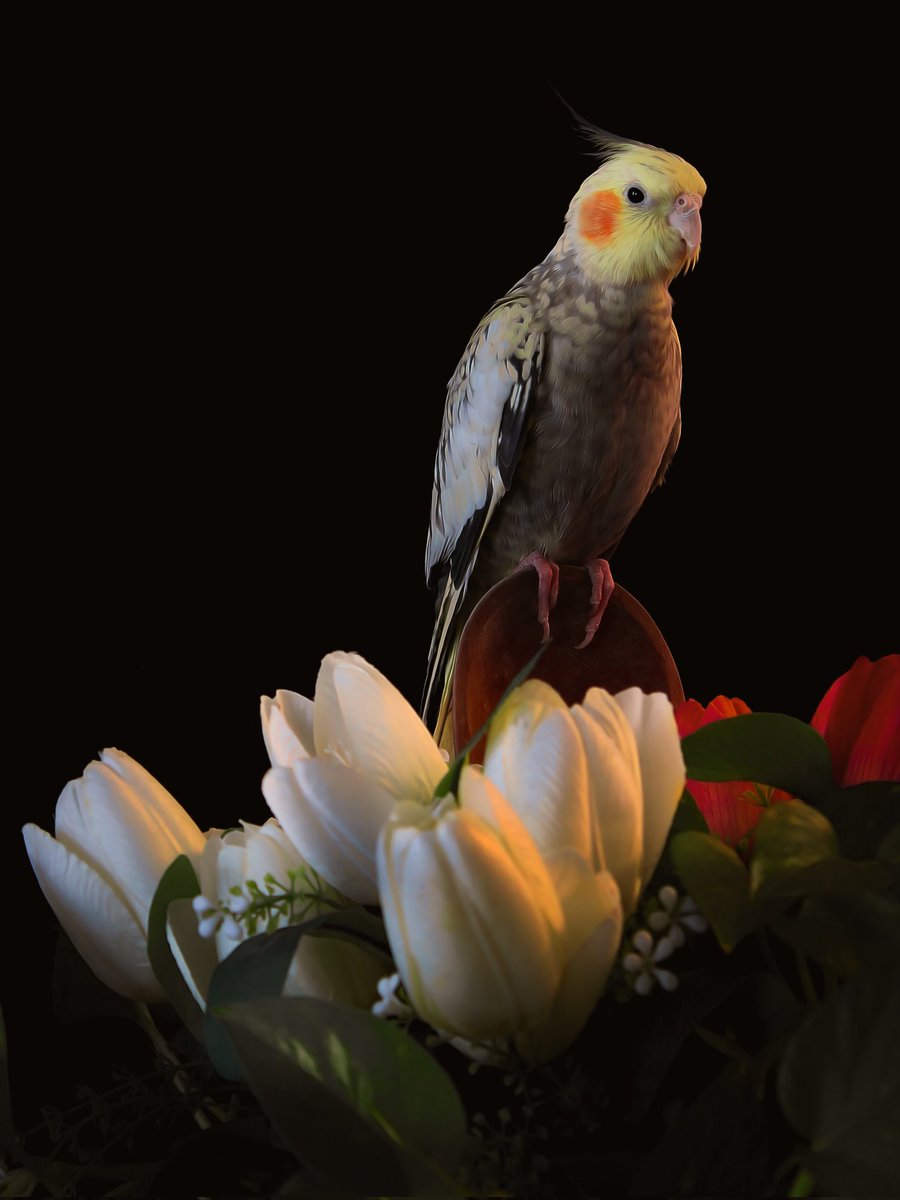 Gm #photograghy fam

⚘️"EDEN" 
 I am not able to imagine an eden without animal species, So let protect them!

⚘️5 #TEZOS

objkt.com/tokens/KT1WCMU…

#StrongerTogether #TezPhotoThread 
#PEACE #tezphotolove #PhotoSaturday