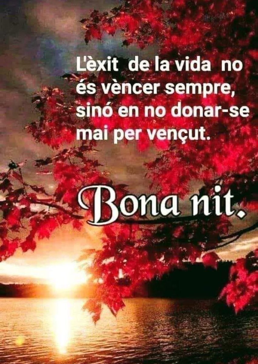 El Pankrasiu (@capdemoragues) on Twitter photo 