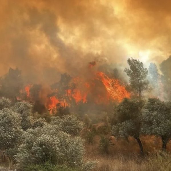 Eskişehir de Orman yangınına müdahale eden 11 orman yangın işçisi alevlerin arasında kalarak şehit oldu.

İşçi kardeşlerimize Allah'tan Rahmet ailelerine baş sağlığı diyorum.

<a href="/memetsimsek/">Mehmet Simsek</a> <a href="/isikhanvedat/">Prof. Dr. Vedat Işıkhan</a> aylardır sözleşme yapamadığınız işçiler can veriyor.

36.000 TL için bugün 11