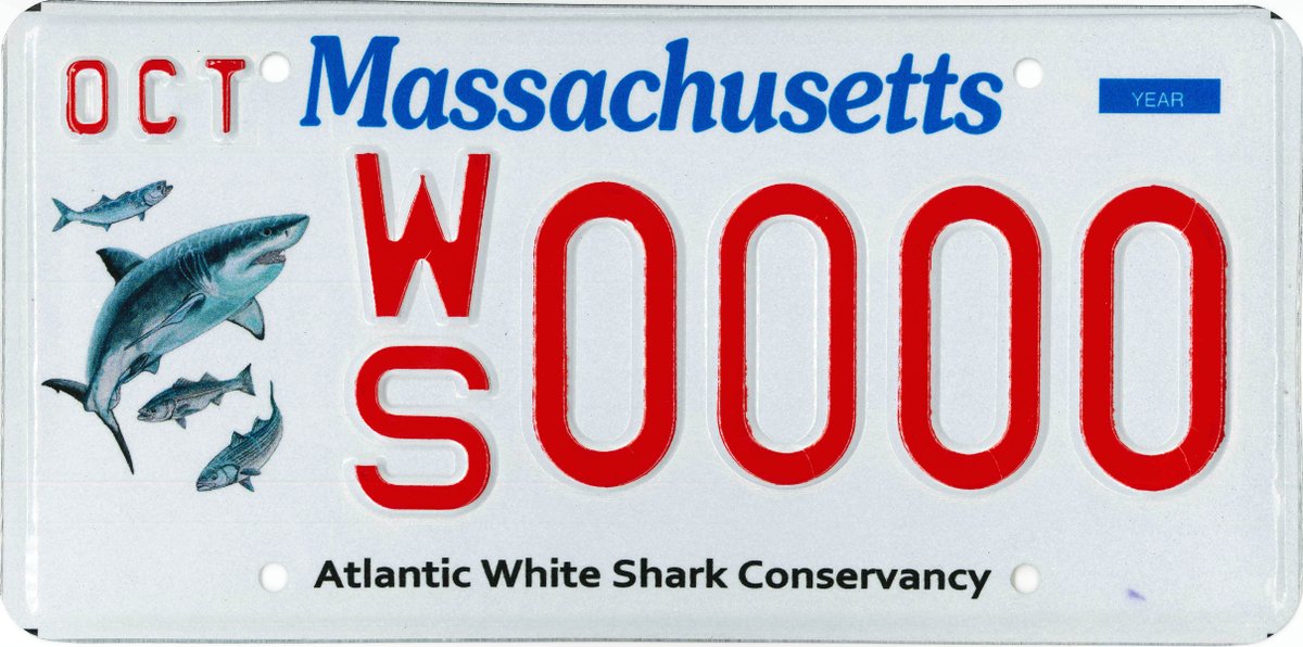 MassRMV's tweet image. It's #SharkWeek! Support the Atlantic White Shark Conservancy and get your Shark Plate today:
ow.ly/cf1j50Wpj1C @TheSharkCenter