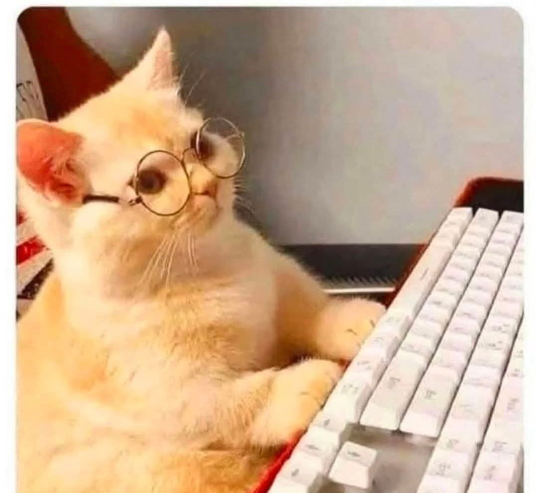 AliciaJ86958882's tweet image. Yo a las 3 de la mañana leyendo los comentarios de dos extraños que se pelean por un post que publiqué solo por diversión. 😳😳