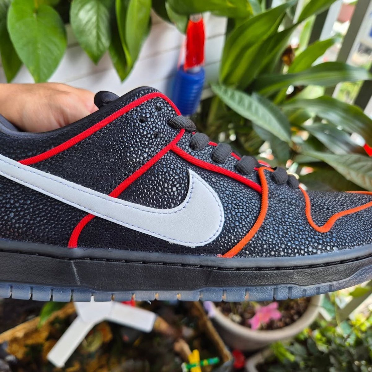 houseofheat's tweet image. Detailed Look: Bronx Girls Skate x Nike SB Dunk Low Collab 🗽
Info: hoh.news/x5zC3sH9