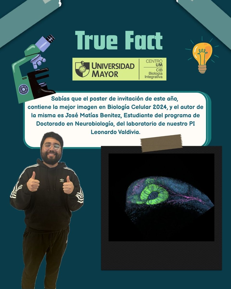 CIBumayor's tweet image. XXXVII Reunión anual de la Sociedad de Biología Celular de Chile
🗓️ 24 al 28 Noviembre,2025
Puerto Varas, Chile
📢Sabías qué...La foto del poster 2025 fue realizada por nuestro estudiante de doctorado, José Matias Benitez 👏
Toda la info 👉
sbcch.cl/meeting/annual…