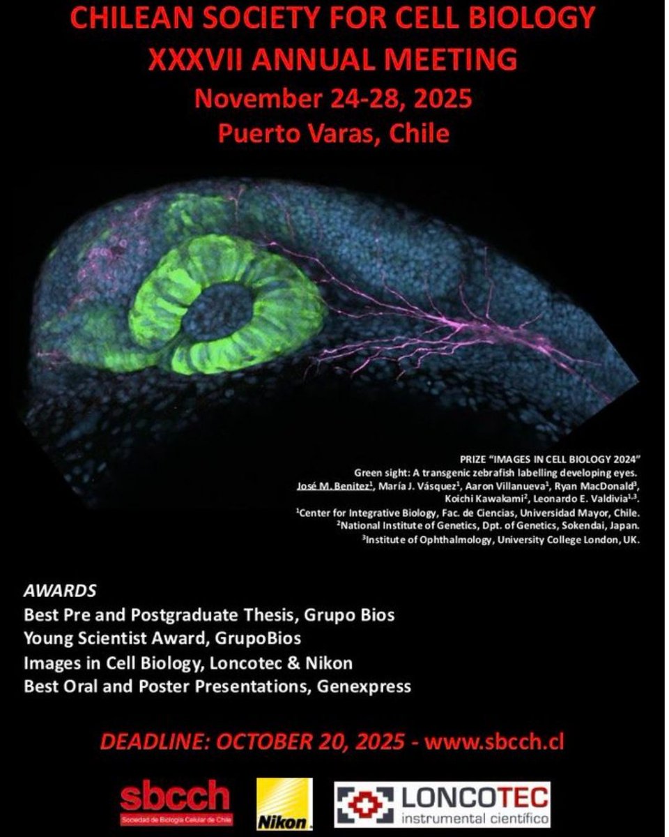CIBumayor's tweet image. XXXVII Reunión anual de la Sociedad de Biología Celular de Chile
🗓️ 24 al 28 Noviembre,2025
Puerto Varas, Chile
📢Sabías qué...La foto del poster 2025 fue realizada por nuestro estudiante de doctorado, José Matias Benitez 👏
Toda la info 👉
sbcch.cl/meeting/annual…