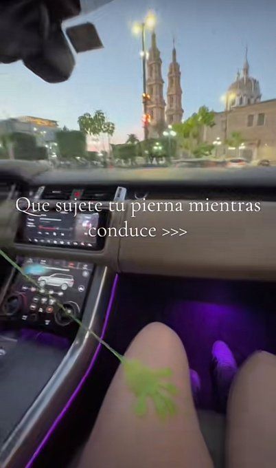 chincheto pirata somali (@wikipistacho) on Twitter photo 