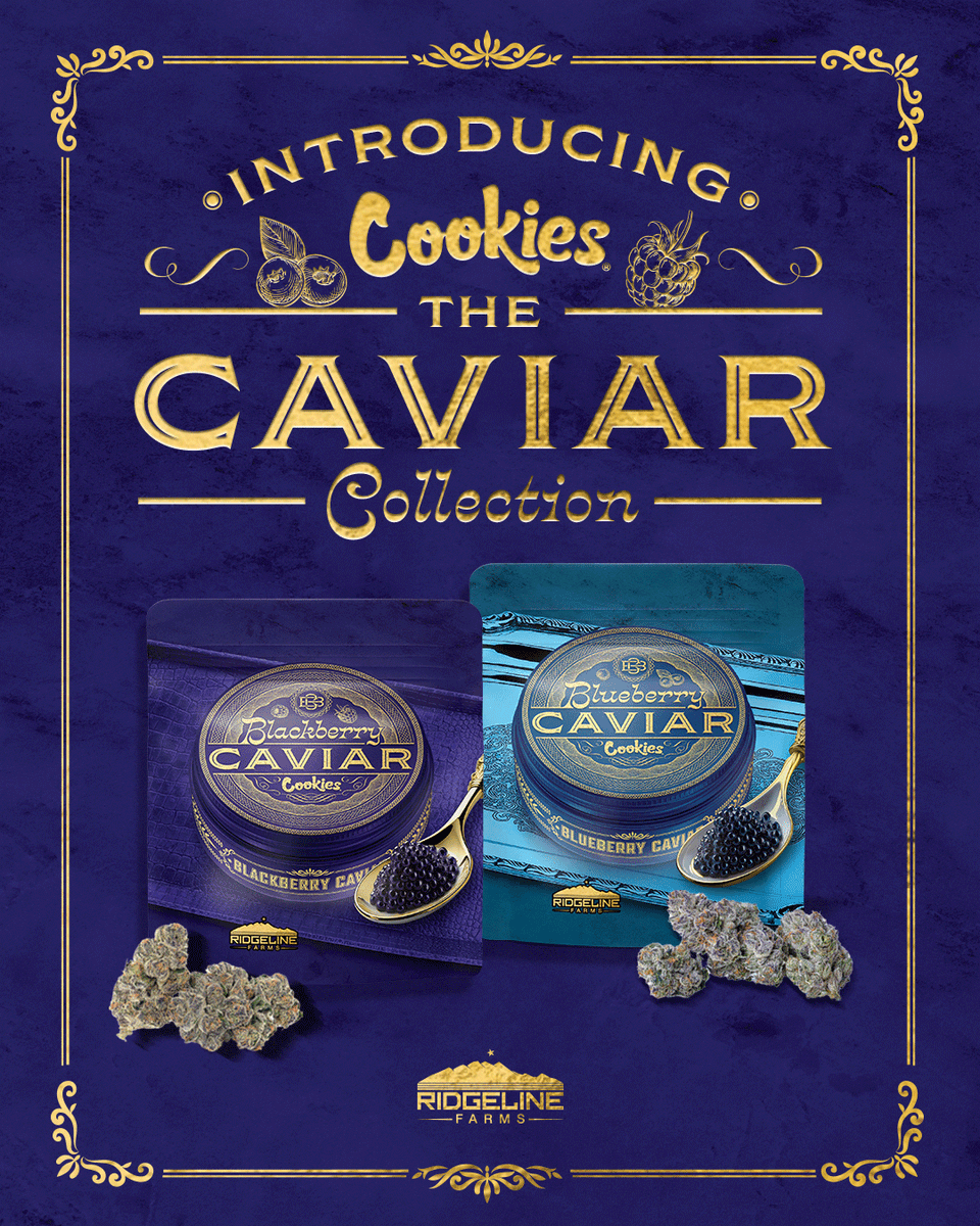 cookiesglobal's tweet image. 🚨 New Mexico - { The Caviar Collection } is coming soon !
Explore: cookies.co/weedfeed