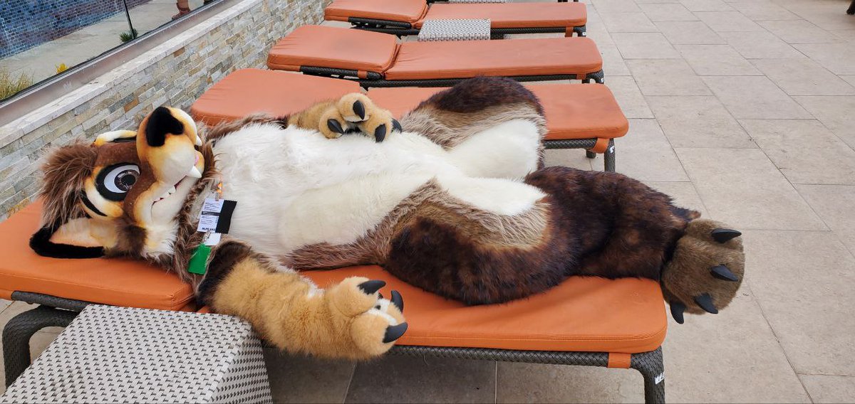 WolfyLion's tweet image. Mood