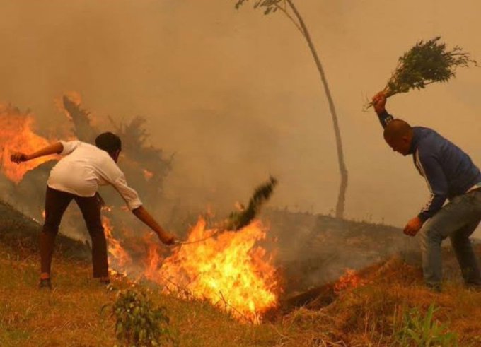 Sauerkraut🇰🇪😎 tweet media