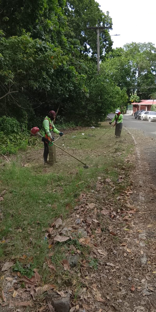 Jornada de ornato en servidumbres y parques de la Arboleda del Golf.
