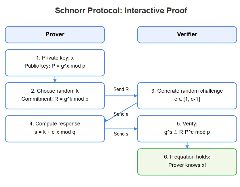 annkkitaaa's tweet image. How does the Schnorr protocol actually prove knowledge of a secret without revealing it?

This simple yet powerful interactive proof lays the groundwork for many modern cryptographic protocols, including ZKPs!

Visual breakdown:
#ZeroKnowledge #Schnorr #Cryptography #ZKP #Web3