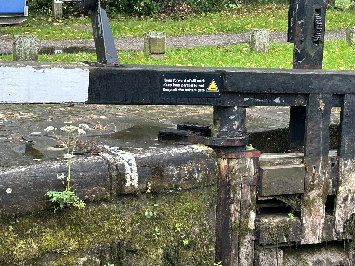 Staplefordtrain's tweet image. I never thought North Yorkshire and drought would be in same sentence Dire scenes on the @CanalRiverTrust Leeds & Liverpool canal at Gargrave
Great view of the lock cill though
Ready to catch the unwary boater out if you get to close when going down the lock #drought