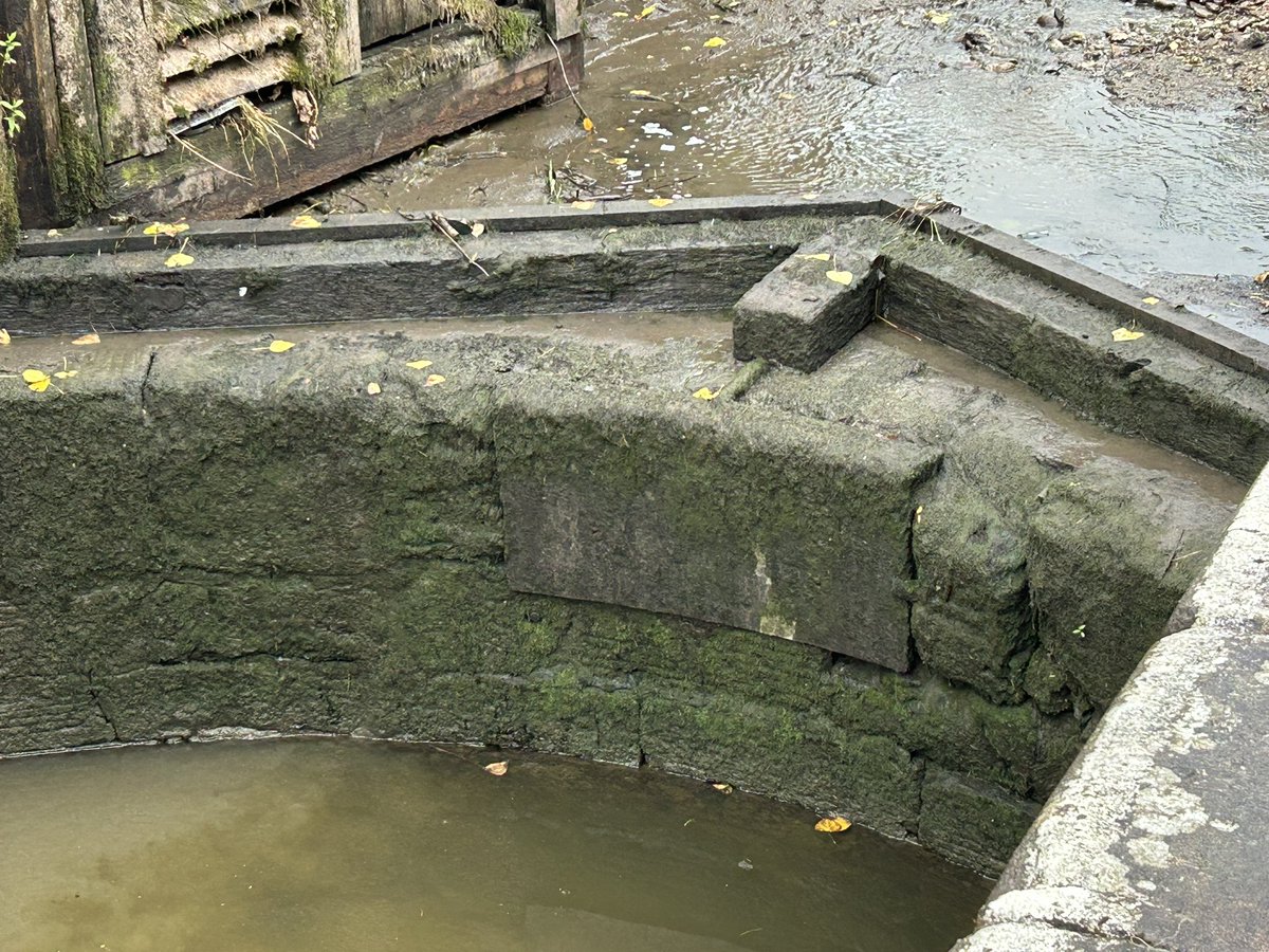 Staplefordtrain's tweet image. I never thought North Yorkshire and drought would be in same sentence Dire scenes on the @CanalRiverTrust Leeds & Liverpool canal at Gargrave
Great view of the lock cill though
Ready to catch the unwary boater out if you get to close when going down the lock #drought