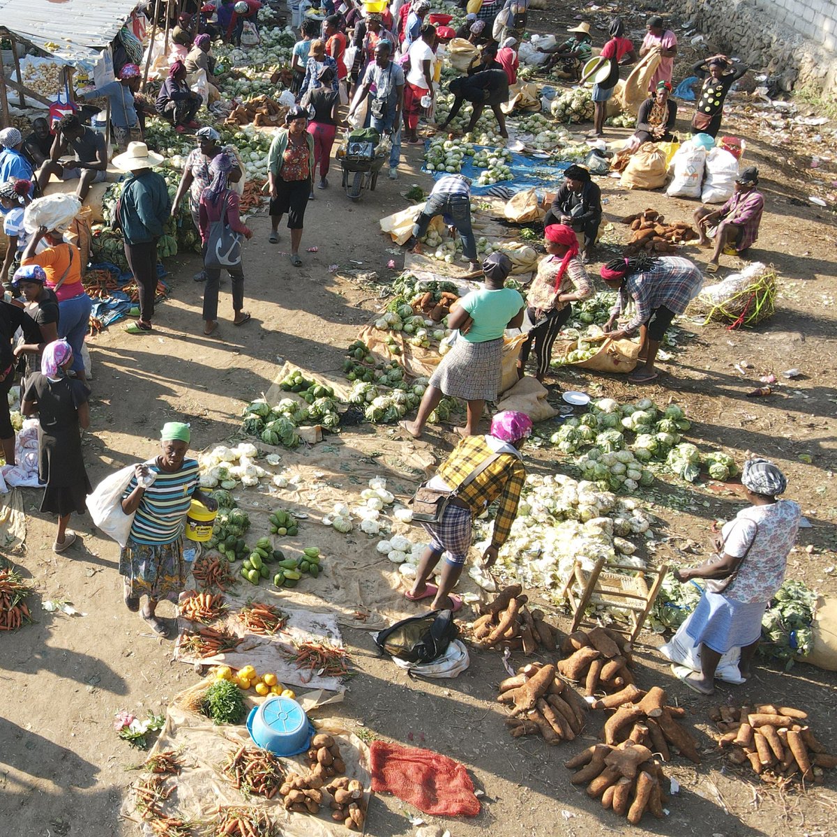 WFP_Haiti's tweet image. 🙏@Ulkoministerio 🇫🇮!
Your flexible funding is a game-changer as humanitarian crises evolve quickly in #Haiti.
It gives @WFP the capacity to pivot swiftly & tackle unexpected demands, encompassing vital responses from urgent food assistance to bolstering farmers' livelihoods🤝