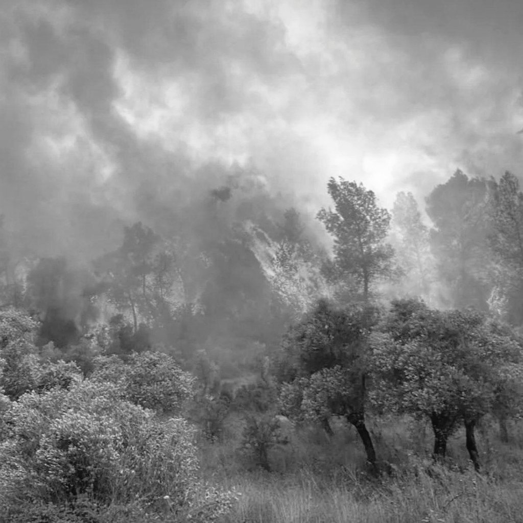 Başımız sağolsun Türkiye!
Sözlerin tükendiği, kelimelerin boğazımıza düğümlendiği yerdeyiz.
#Eskişehir'de çıkan orman yangınına kahramanca müdahale ederken şehit düşen yiğit orman emekçisi ve AKUT gönüllüsü kardeşlerimize Yüce Allah'tan rahmet, ailelerine ve milletimize