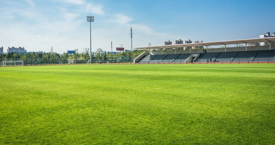 Advanced Sports Turf (@atssportsturf) on Twitter photo ATS rep <a href="/FonzChris/">Chris Fondren</a> shares how field managers can make the most of overseeding, including timing it right, using fertilizer, and properly irrigating: bit.ly/46VxWH6. ATS rep <a href="/FonzChris/">Chris Fondren</a> shares how field managers can make the most of overseeding, including timing it right, using fertilizer, and properly irrigating: bit.ly/46VxWH6.