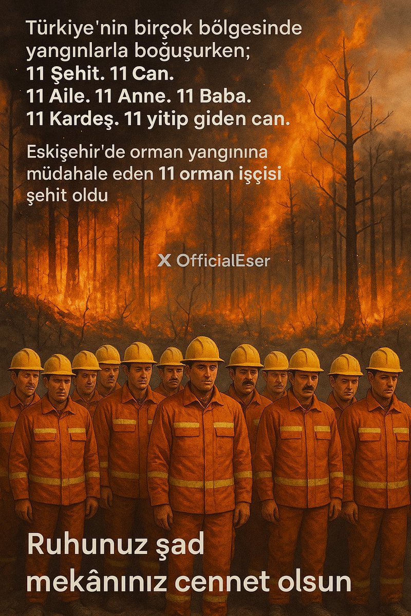 #Eskişehir #ormanyangını