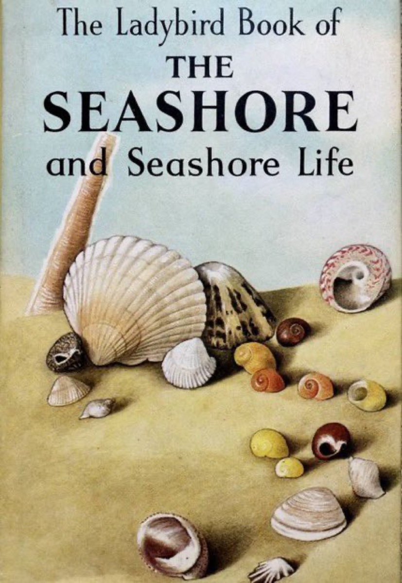 LBFlyawayhome's tweet image. Ladybird book in the spotlight
‘Seashore and Seashore Life’
(1964)
Artist: Jill Payne