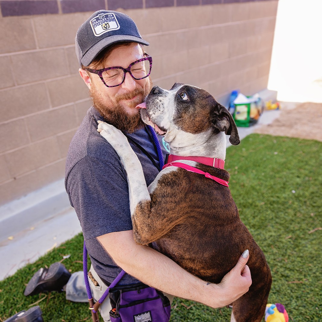 animalfndlv's tweet image. Look at Dustyn and try not to fall in love!
This 7-year-old smooshy-faced girl has been described as “a huge cuddlebug” by her foster family.
Whenever you’re around Dustyn, you feel at peace. She just has that certain something about her.
Foster or adopt Dustyn. ID# A1372226