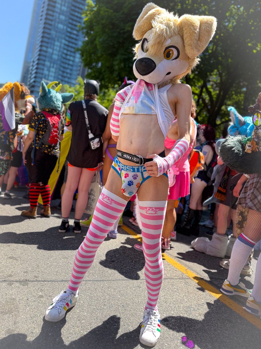 Custard is trying his best 💜🧡💛💚💙❤ tweet media
