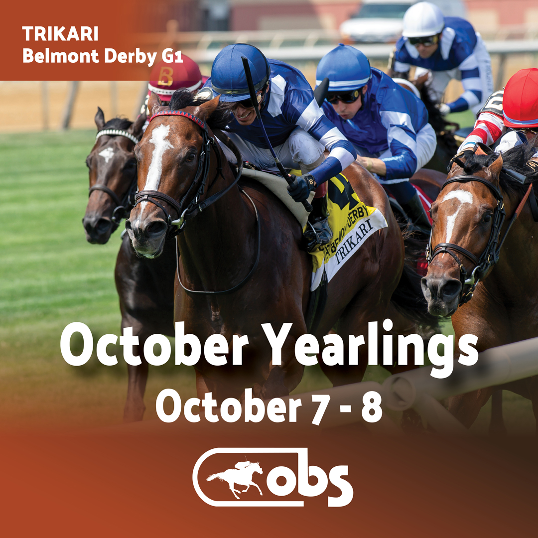 OBSSales's tweet image. ⭐G1W Trikari
⭐G1W Speed Boat Beach
⭐Multiple Group winner Crimson Advocate
⭐Multiple GSW Mystic Lake
🟰All Graduates of the #OBSOct Sale. All top performers on the track.
Don't miss the year's auction Oct. 7-8. Entries close Aug. 5.
Enter now: obssales.com/blog/2023/07/2…