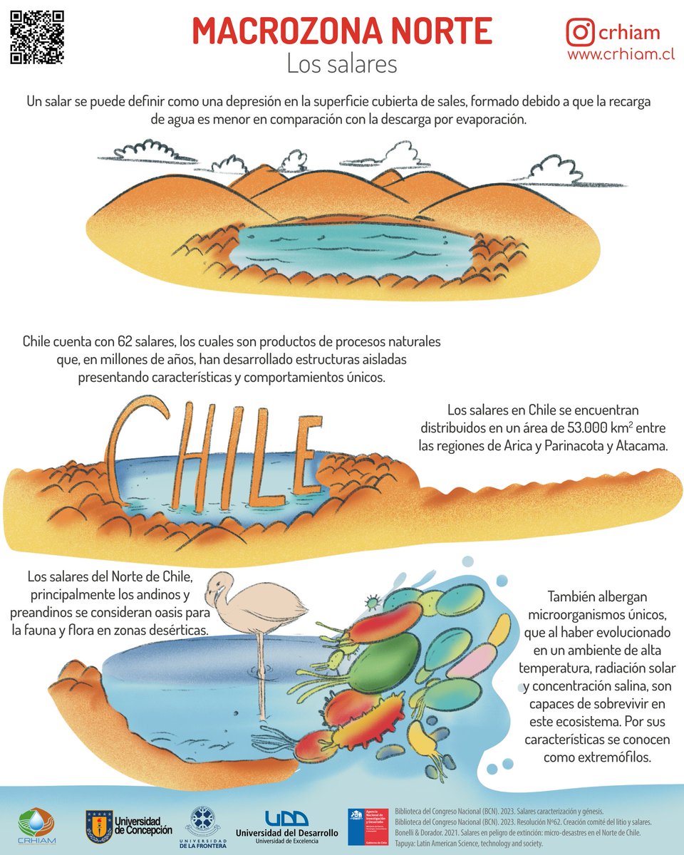 🌄 Macrozona Norte | Los Salares de Chile

📍 Su importancia no solo radica en su belleza y singularidad, sino también en su valor ecológico y científico.

🔍 Descubre más en crhiam.cl

#CRHIAM #Salar #MacrozonaNorte #Ciencia #Biodiversidad #RecursosHídricos