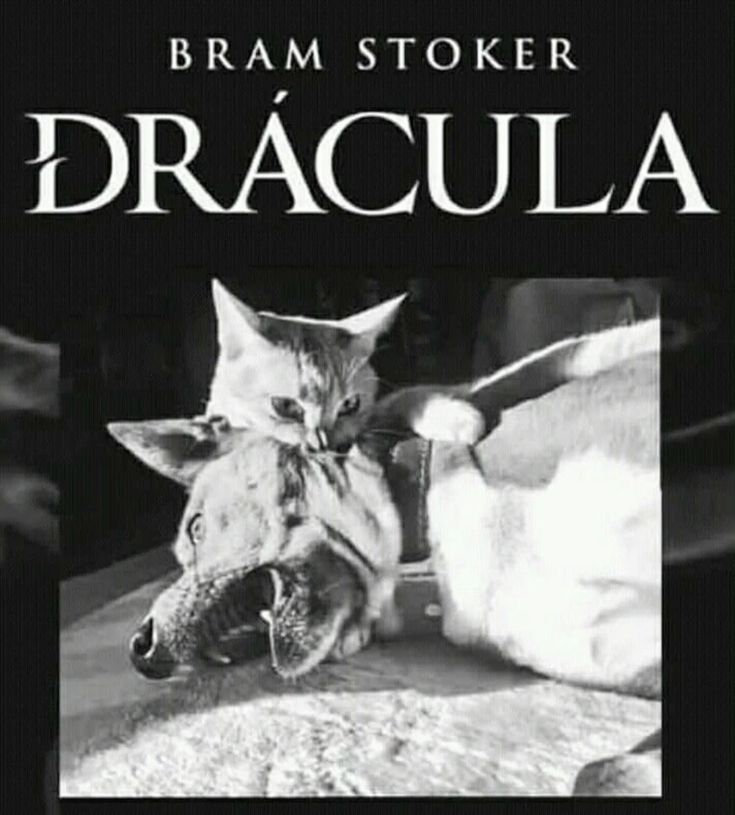 Tatiana19796's tweet image. 