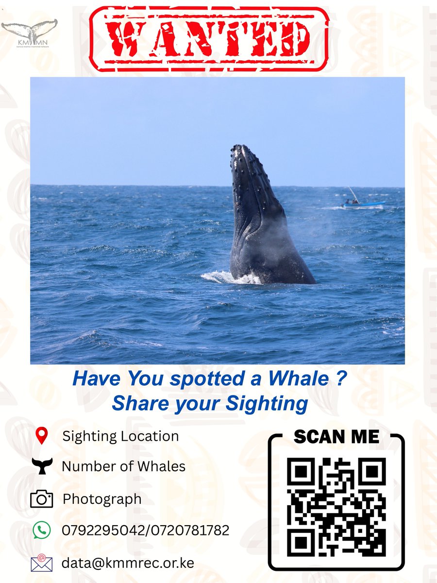 Gilbert Mwang'ombe M (@mgilleym) on Twitter photo DYK? On July 23, 1982, a global whaling ban was enacted to protect marine mammals. Join us in celebrating this day by sharing your sightings & images with <a href="/MarineMammalsKE/">Kenya Marine Mammal Research and Conservation</a> . Let’s expand our knowledge & protection of their habitats. #MarineMammalsKE #OceanConservation DYK? On July 23, 1982, a global whaling ban was enacted to protect marine mammals. Join us in celebrating this day by sharing your sightings & images with <a href="/MarineMammalsKE/">Kenya Marine Mammal Research and Conservation</a> . Let’s expand our knowledge & protection of their habitats. #MarineMammalsKE #OceanConservation