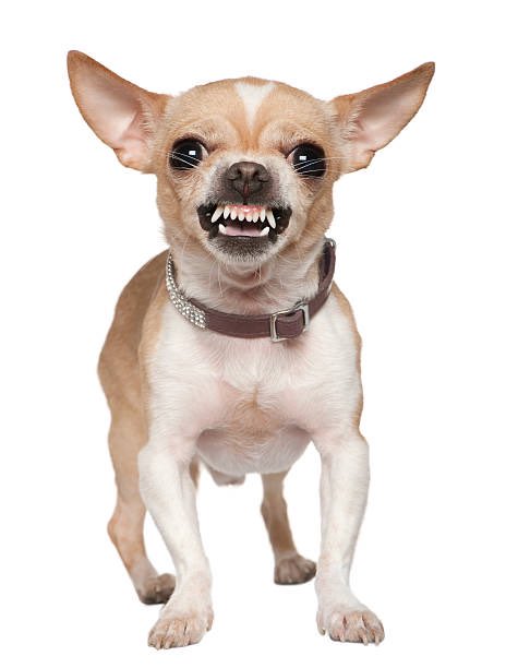 Varca_Owner's tweet image. 
